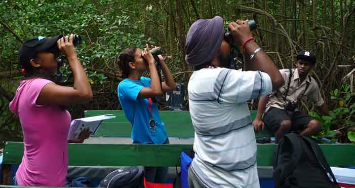 Photo of CARICOM to hold workshop on financing for biodiversity in Antigua and Barbuda