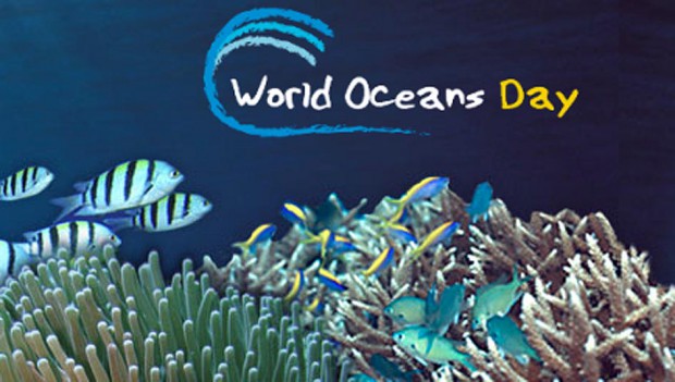 Photo of Reflect, act to safeguard Caribbean Sea – CARICOM on World Oceans Day